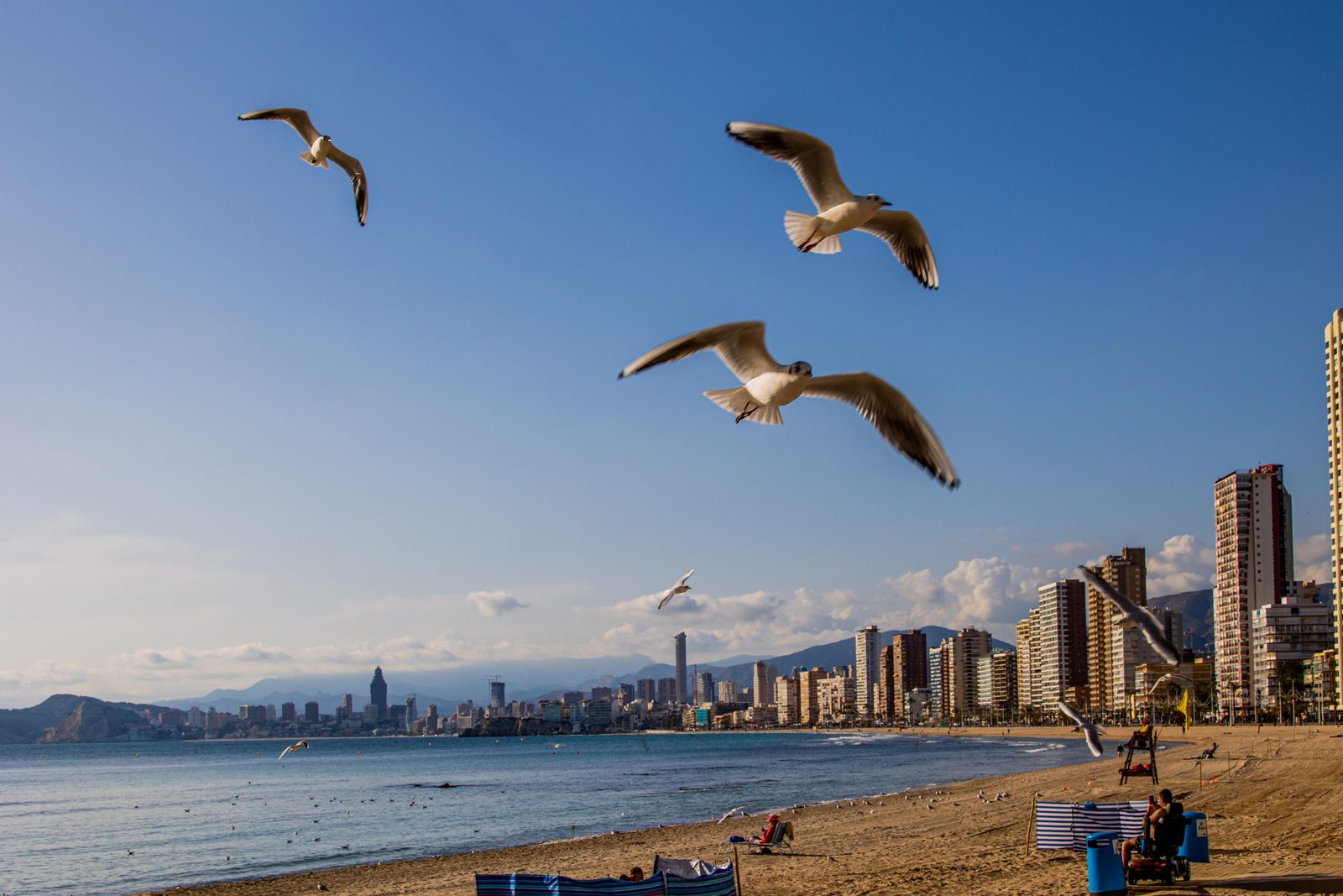 Strand van Benidorm