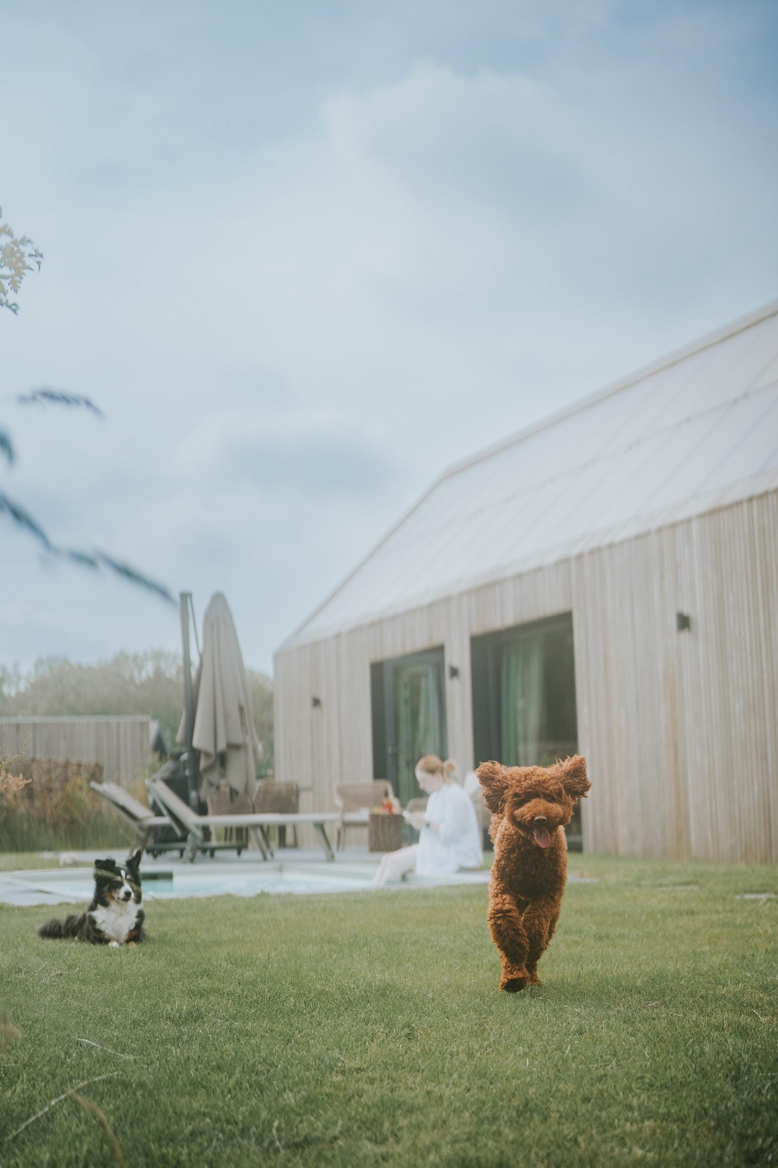 Luxe vakantiehuis met hond