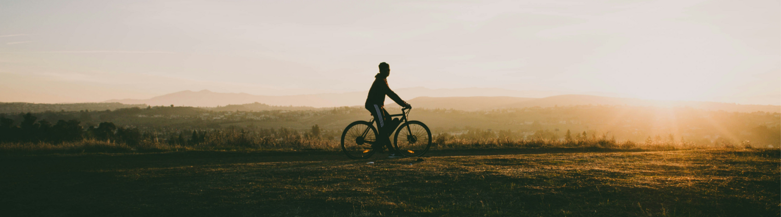 Bike rental