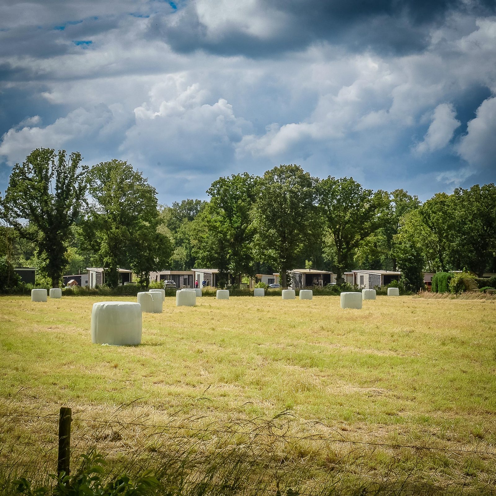 Vakantiepark in Holten