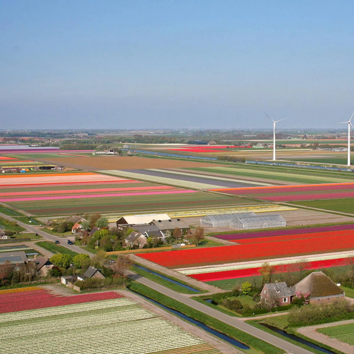 Burgerbrug