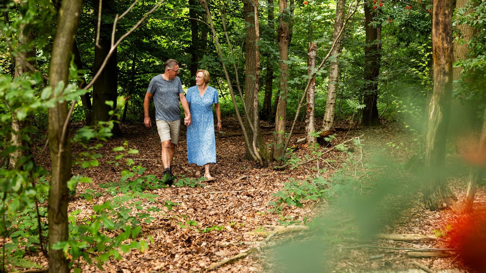 Huisje in de natuur