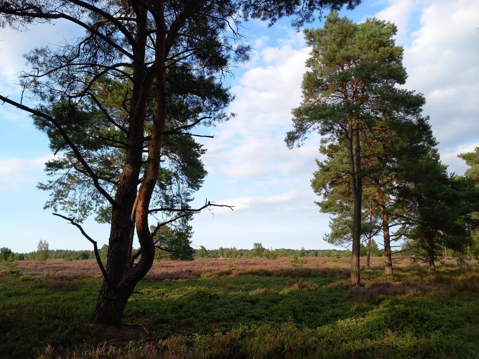 Vakantiepark Hellendoorn