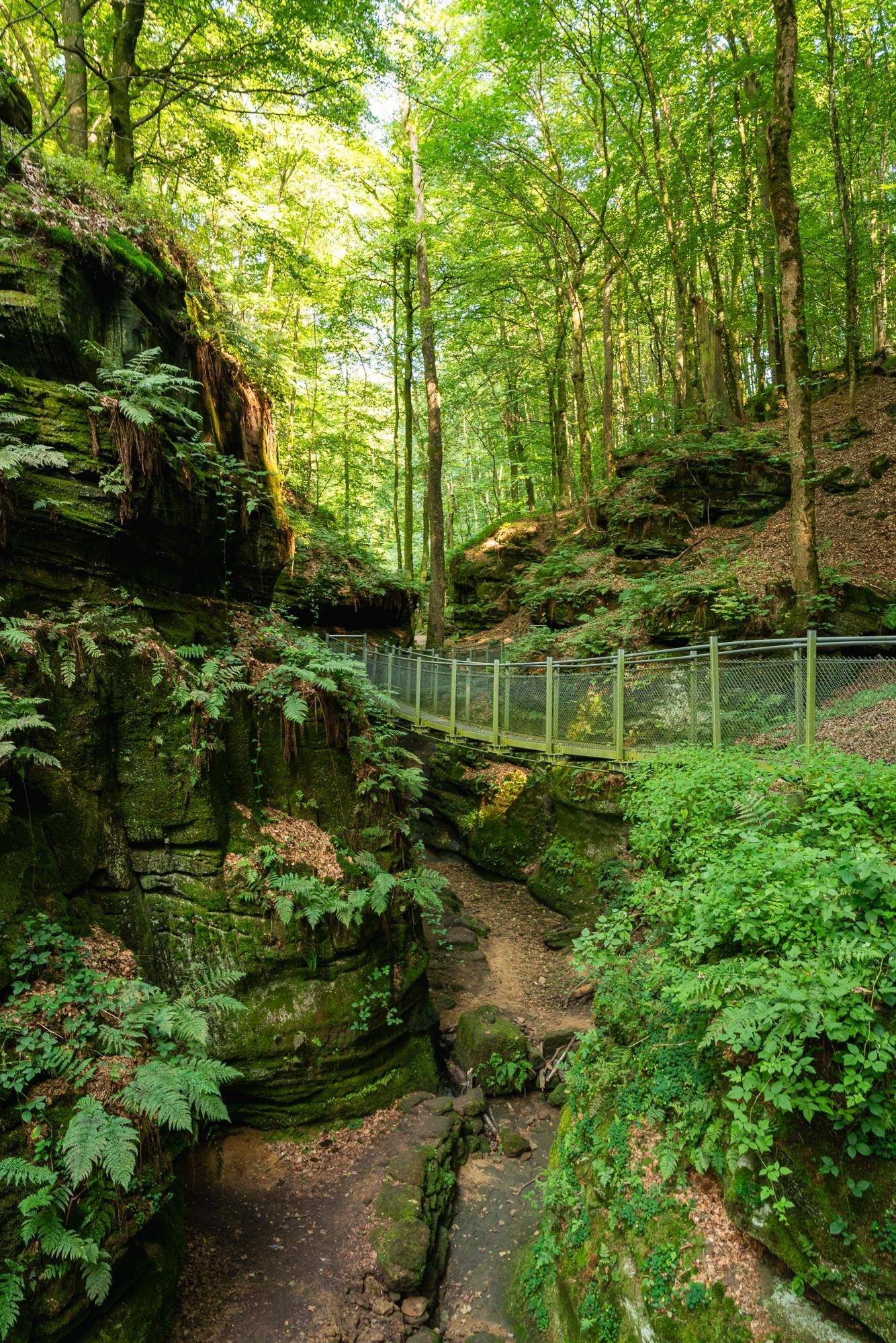 Vacation in the Mullerthal