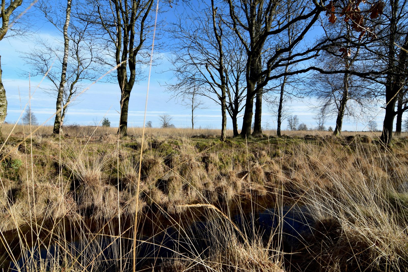 Op de Solex door Drenthe