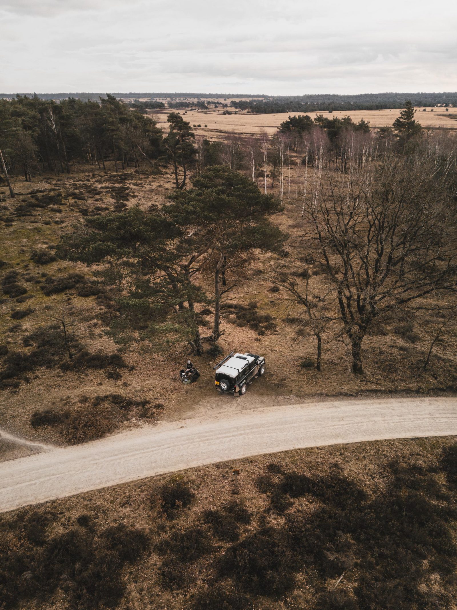 🏕 Ultimate Veluwe feeling experience 'From the Path' 