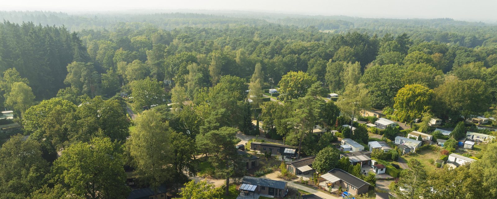 Veluwepark de Bosgraaf