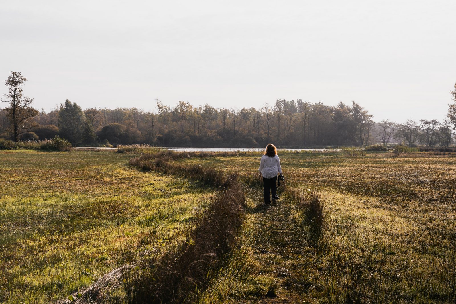 Haaksbergerveen