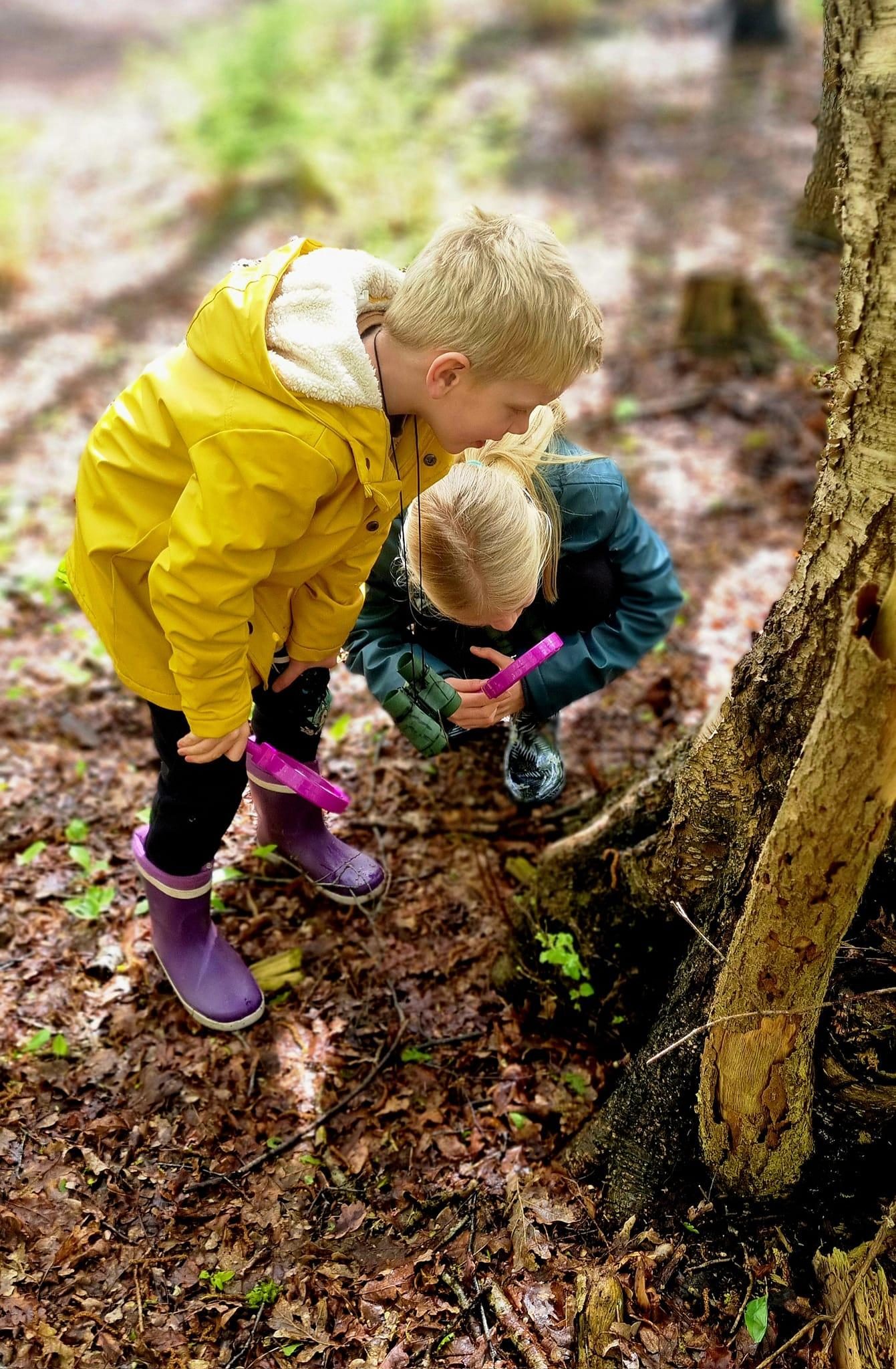 Programma Herfstvakantie
