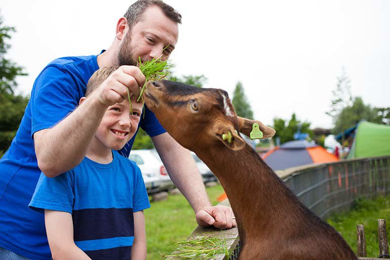 Kinderboerderij