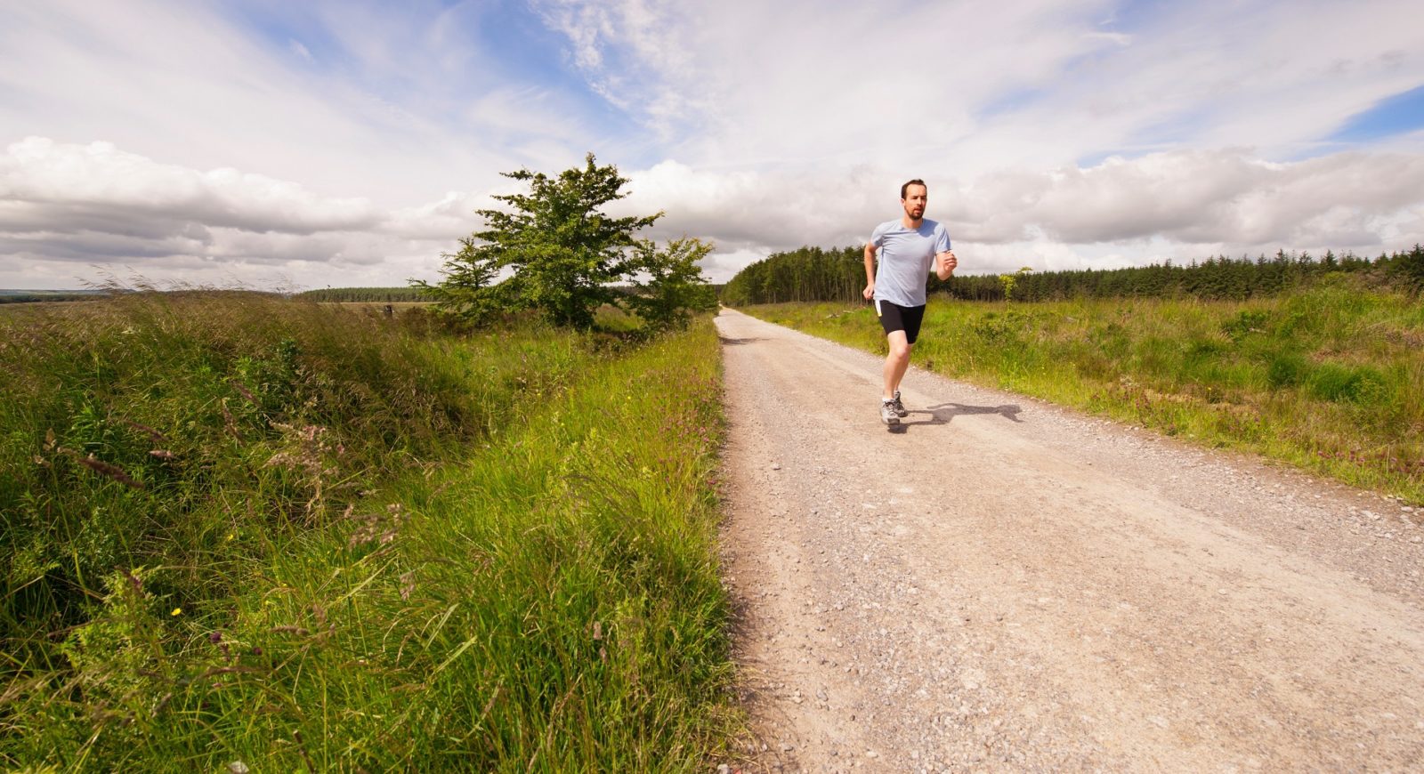 Jogging trails