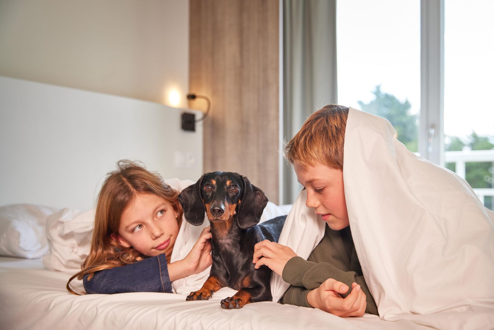 Vakantie aan zee met hond