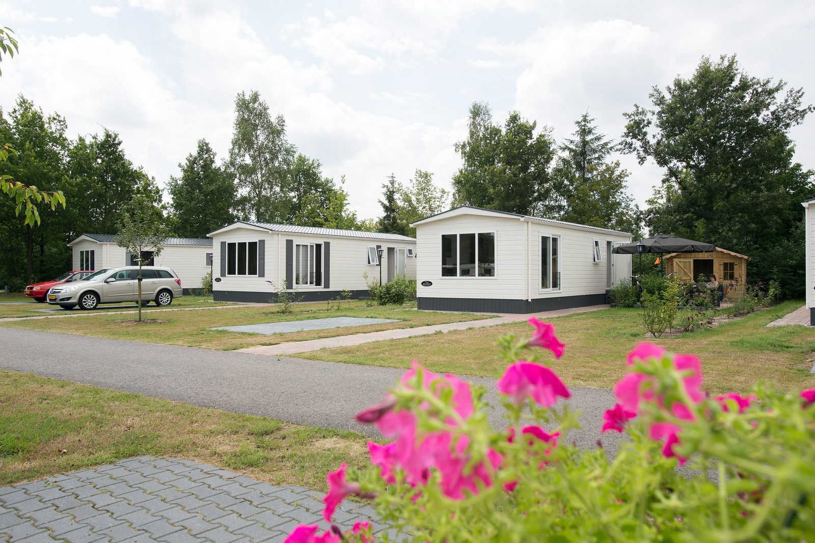 Chalet Cosmos