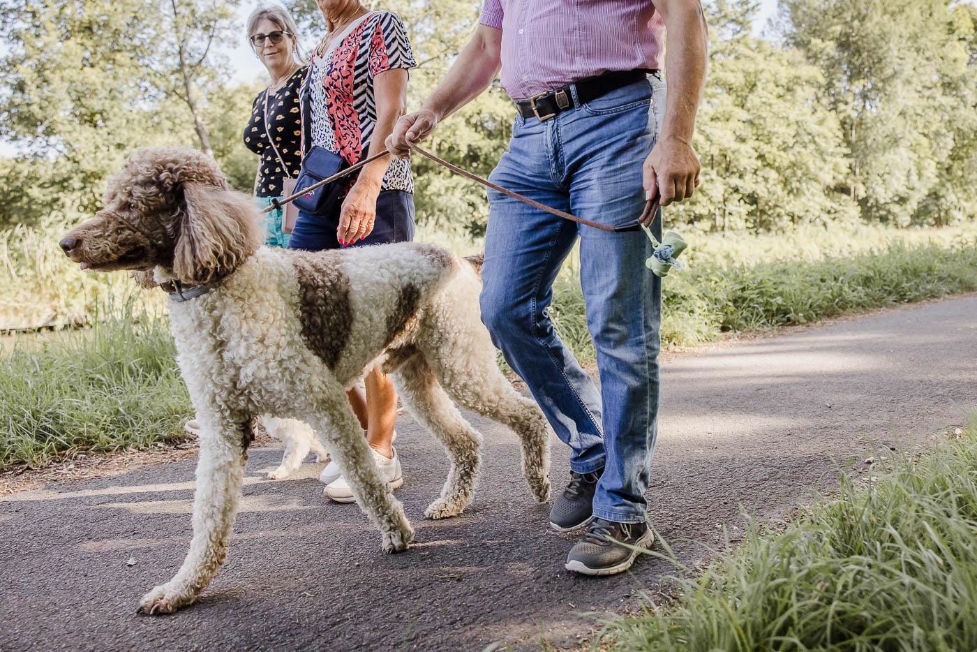 Vakantie met je hond