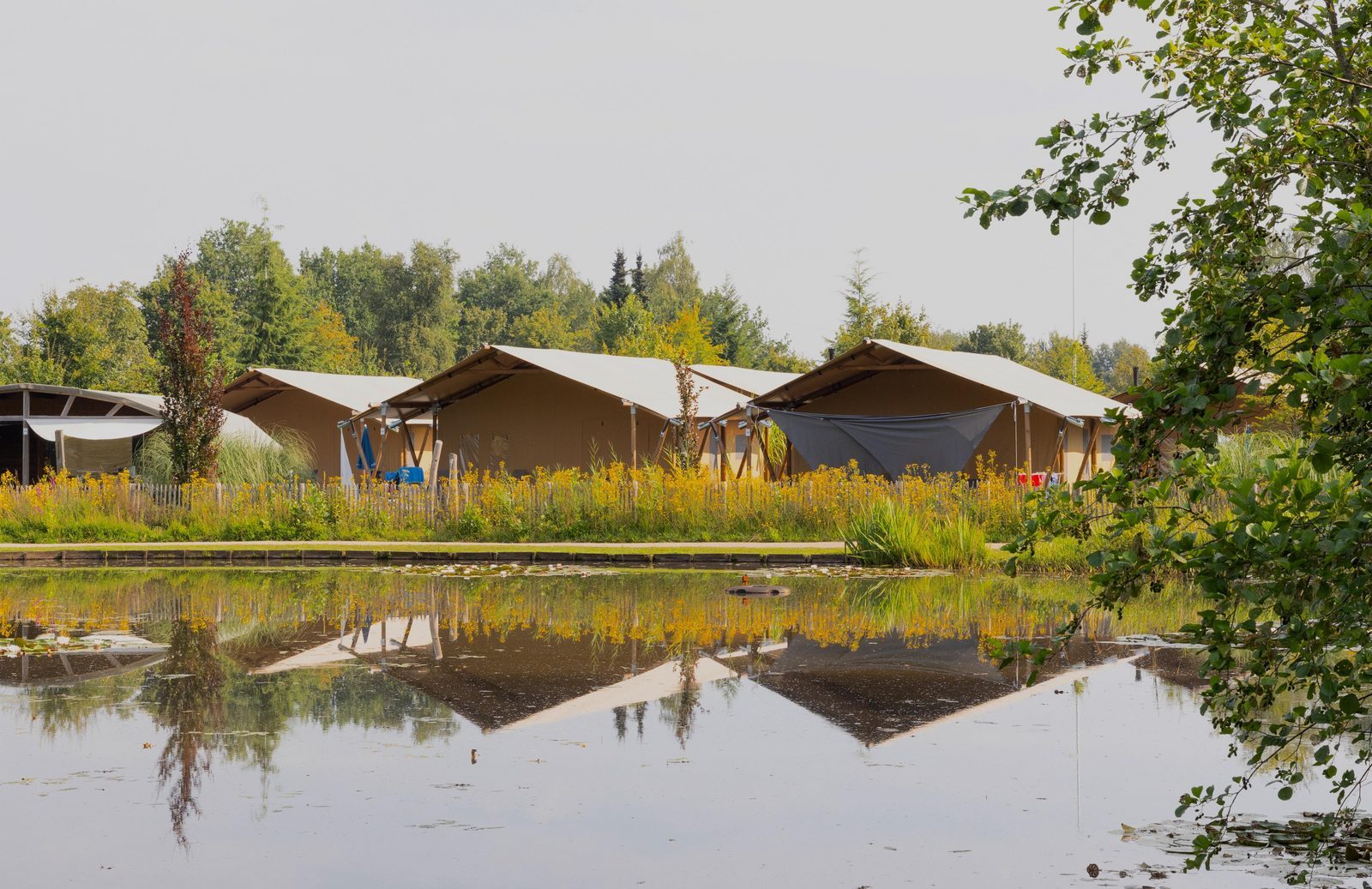 Vakantiepark 't Rheezerwold 
