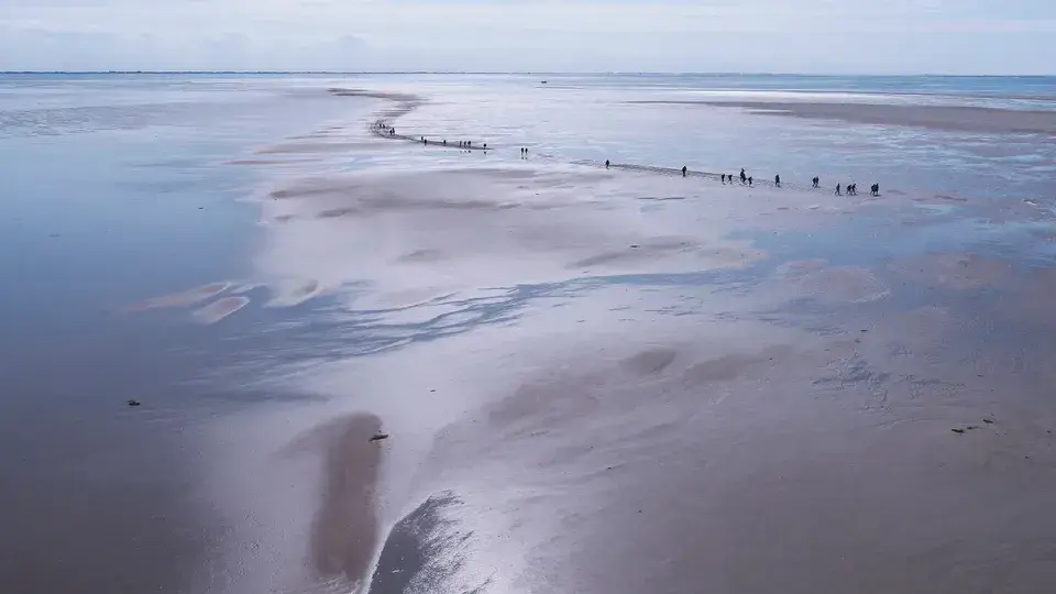 Mudflat hiking in Termunterzijl