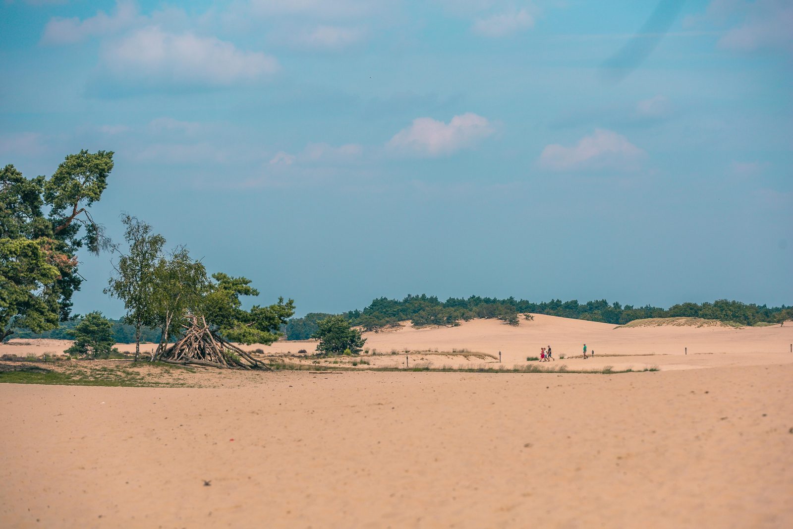 Nationaal Park De Loonse en Drunense Duinen