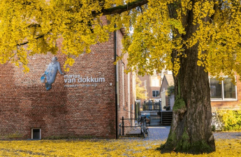 5 Leukste musea in de omgeving 