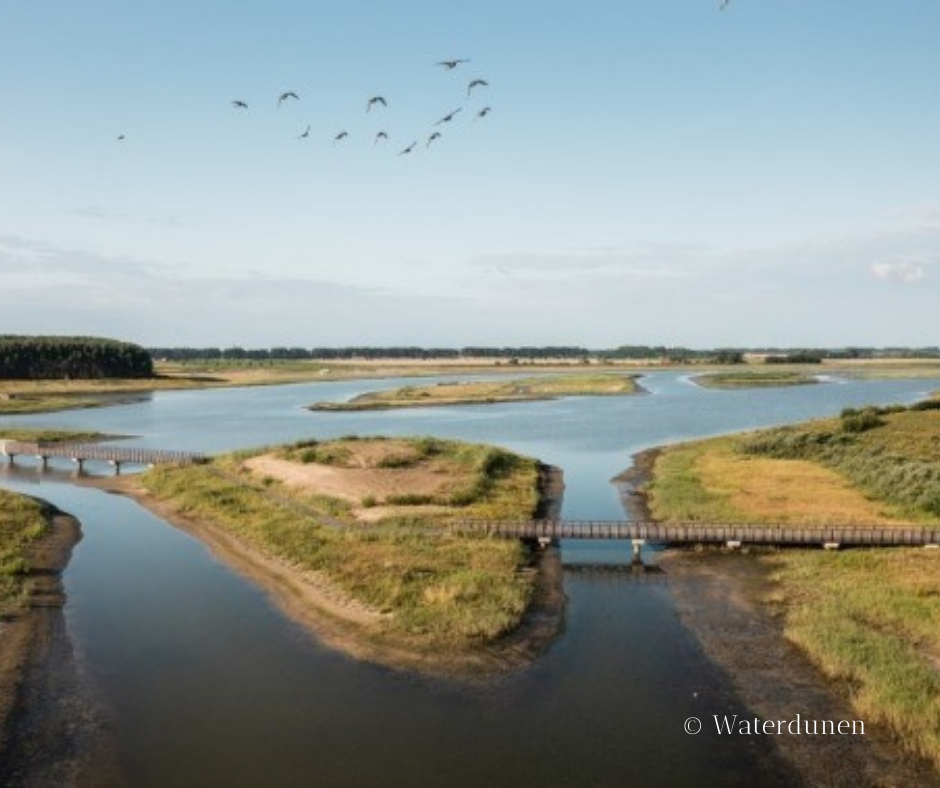 Dritter Weihnachtsfeiertag in Waterdunen