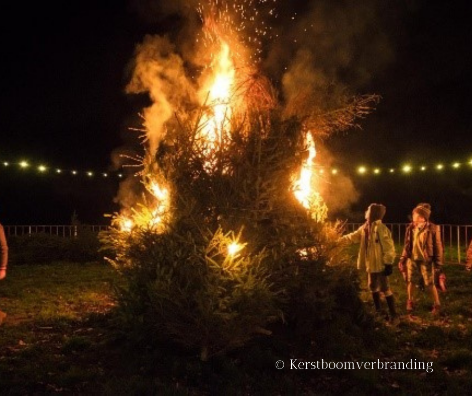 Weihnachtsbaumverbrennung