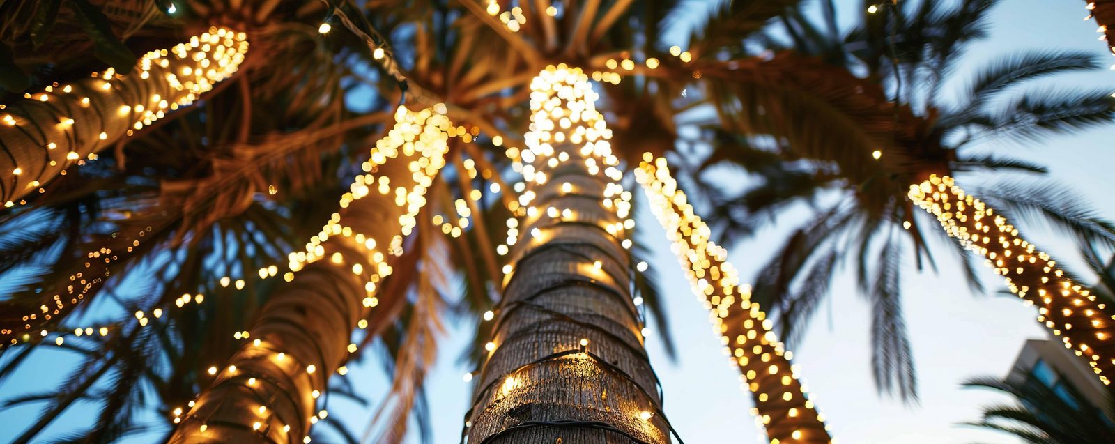 Palmbomen met kerstlichtjes