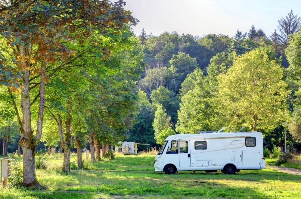 Vakantiepark Belgische Ardennen met hond