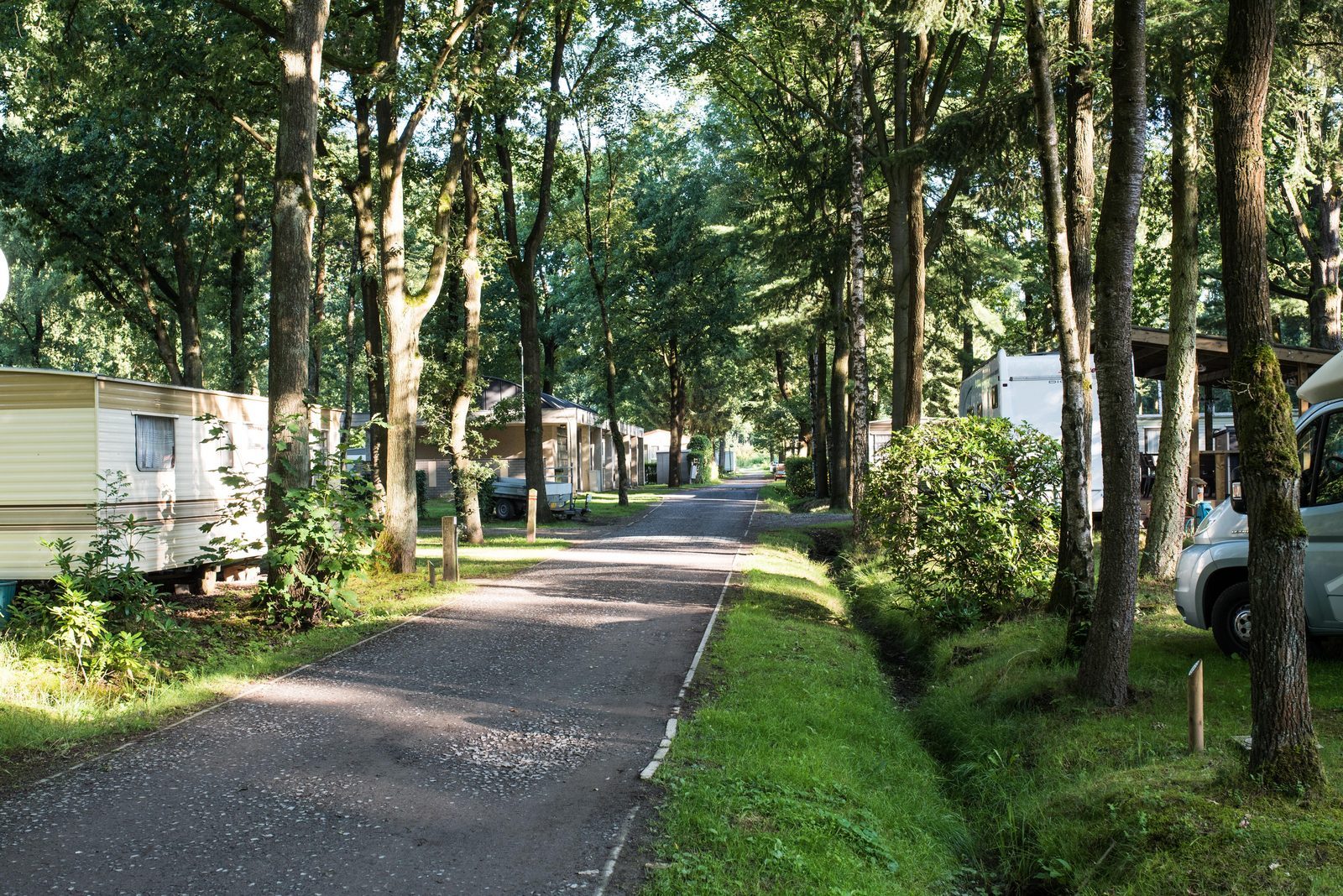 Het Veen