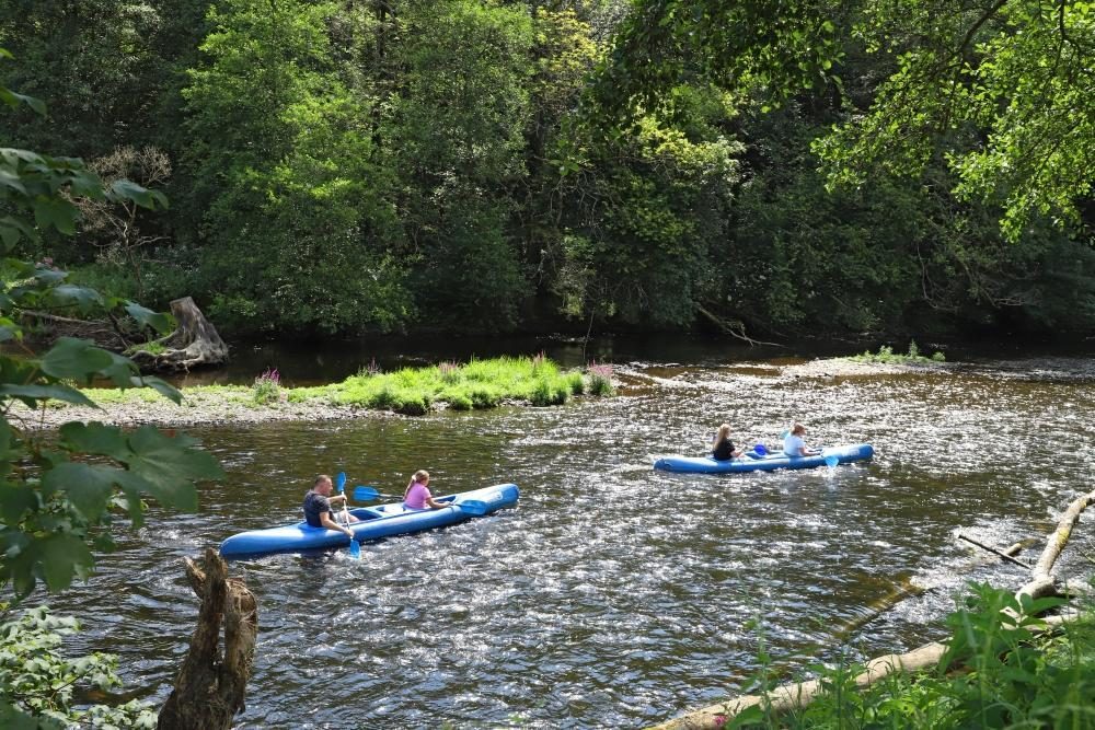 Camping La Roche En Ardenne