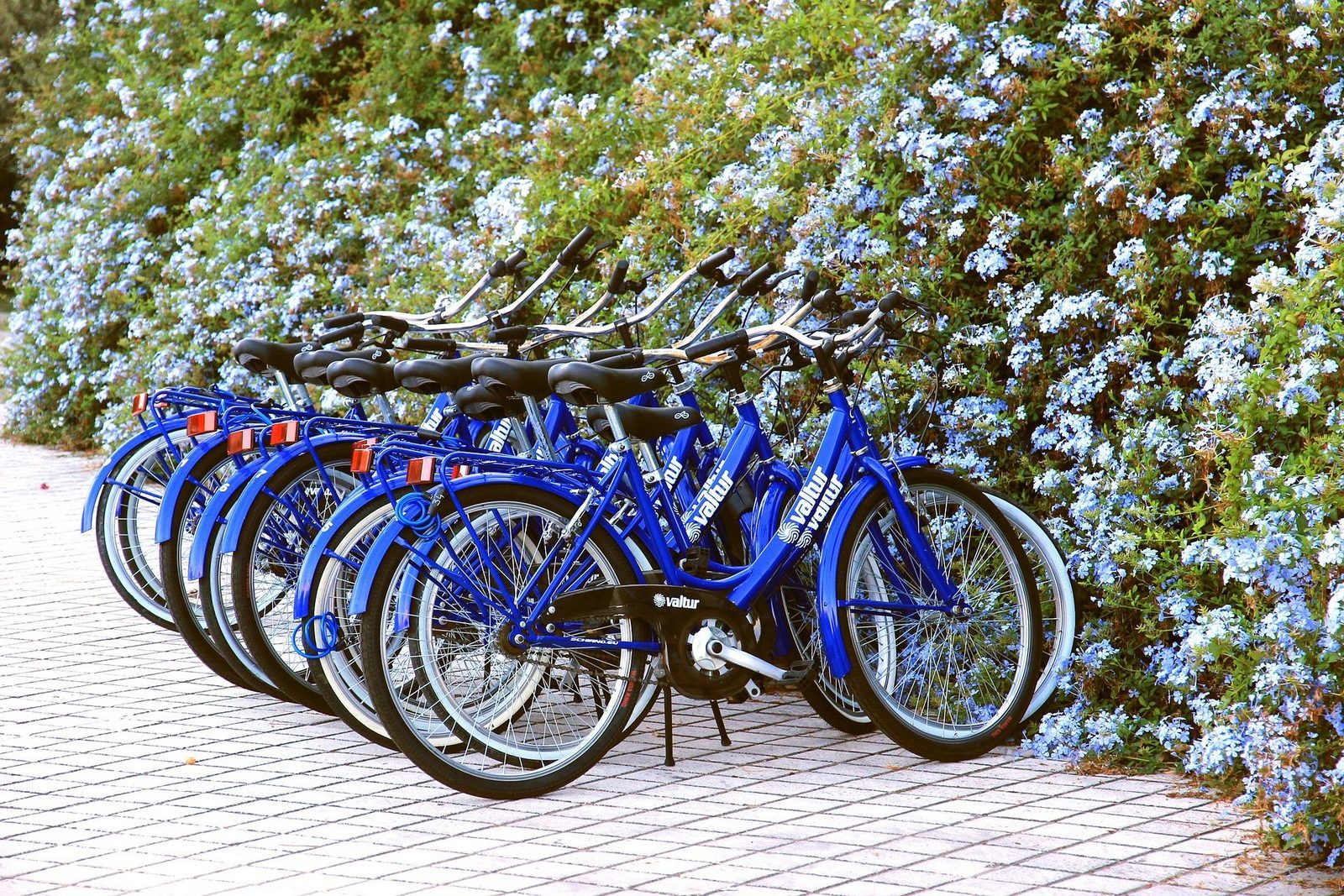 Bike rental Beach Resort Soal