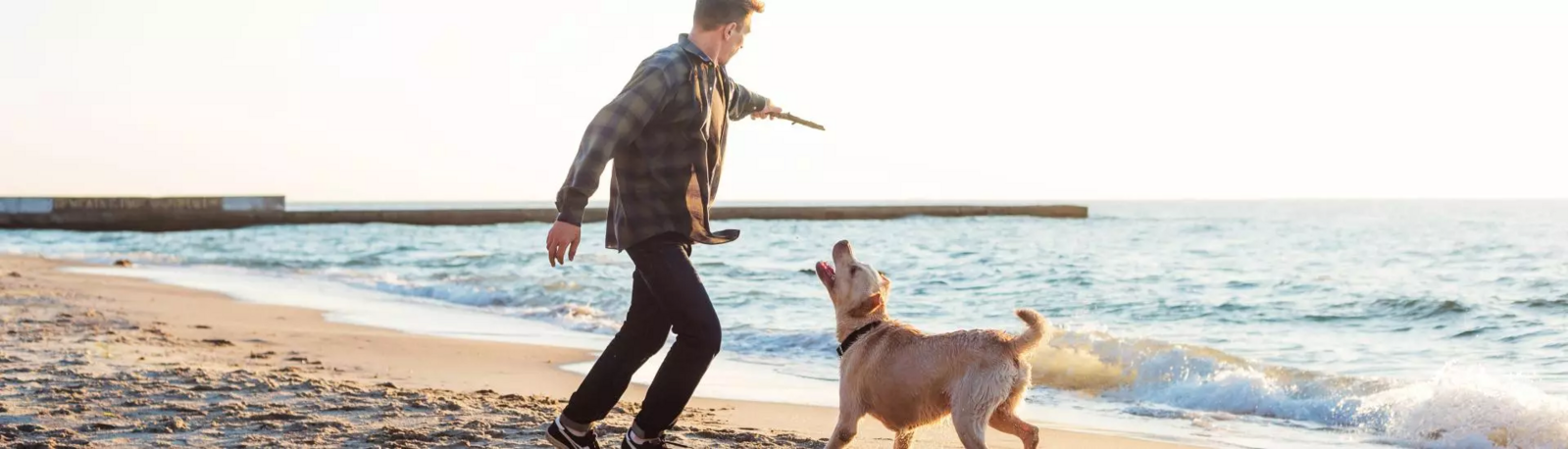 En vacances avec Médor ? Bienvenue chez Floreal Holidays !