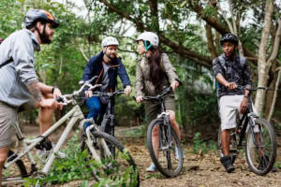 Fietsen in het bos Sportief fietsen