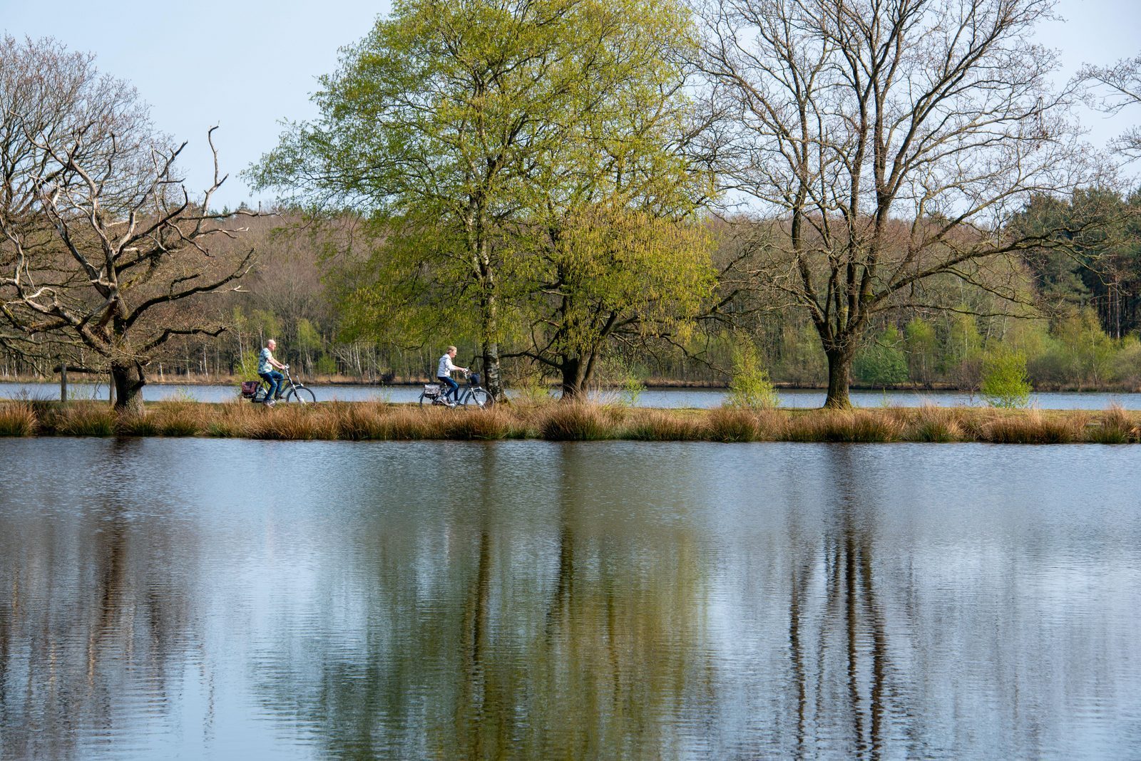 Vakantiepark Drents Friese Wold