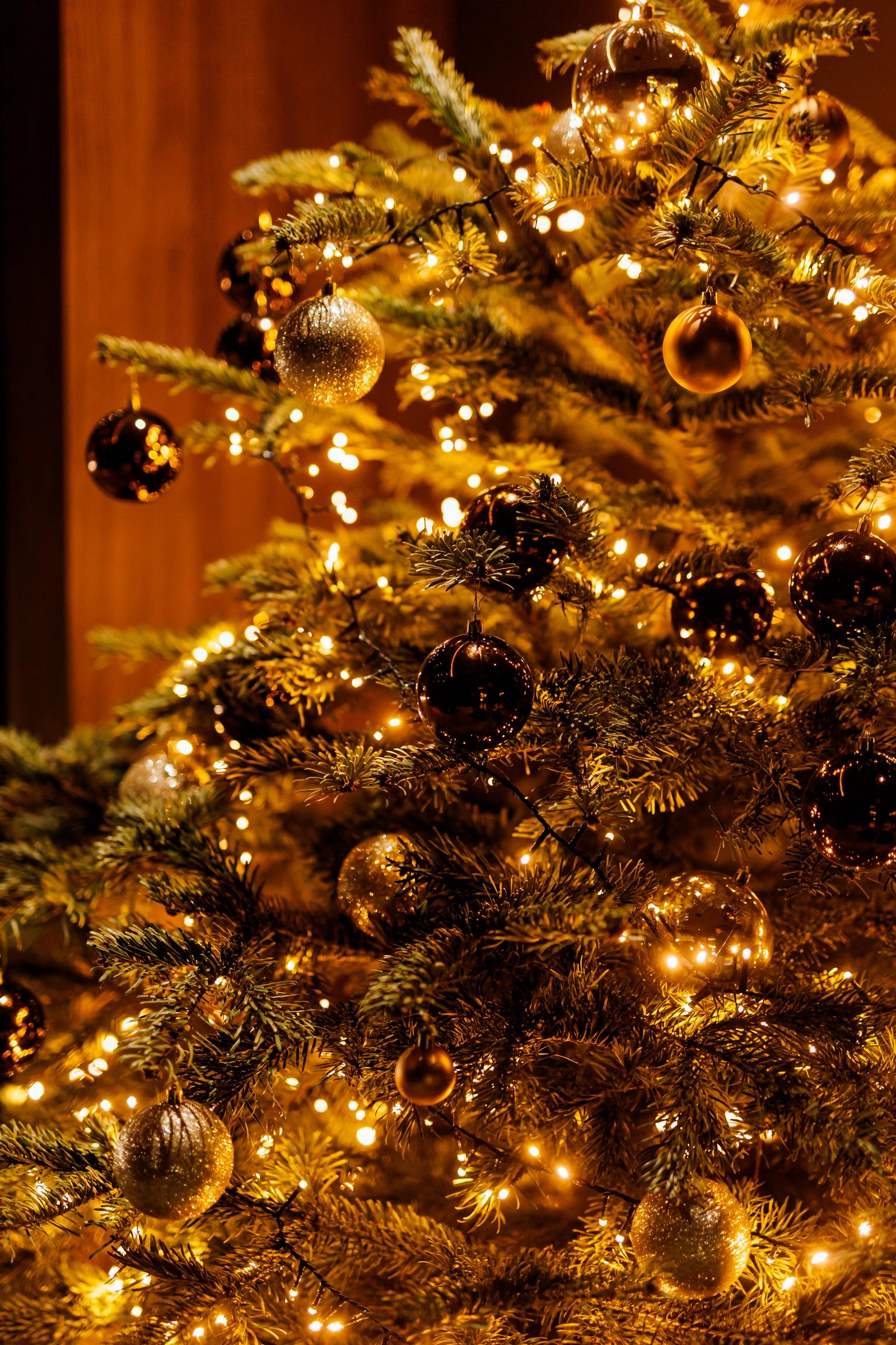 Christmas