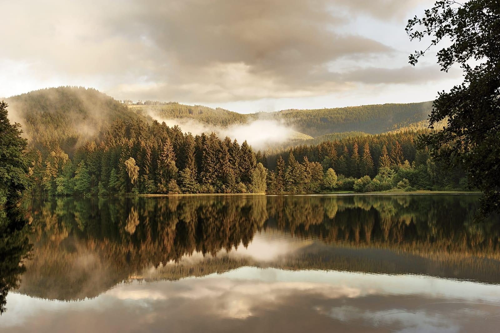 Harz Contact