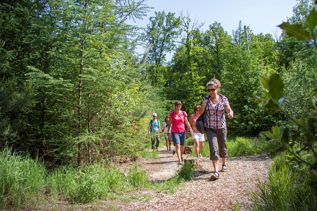 Wandelen in Twente