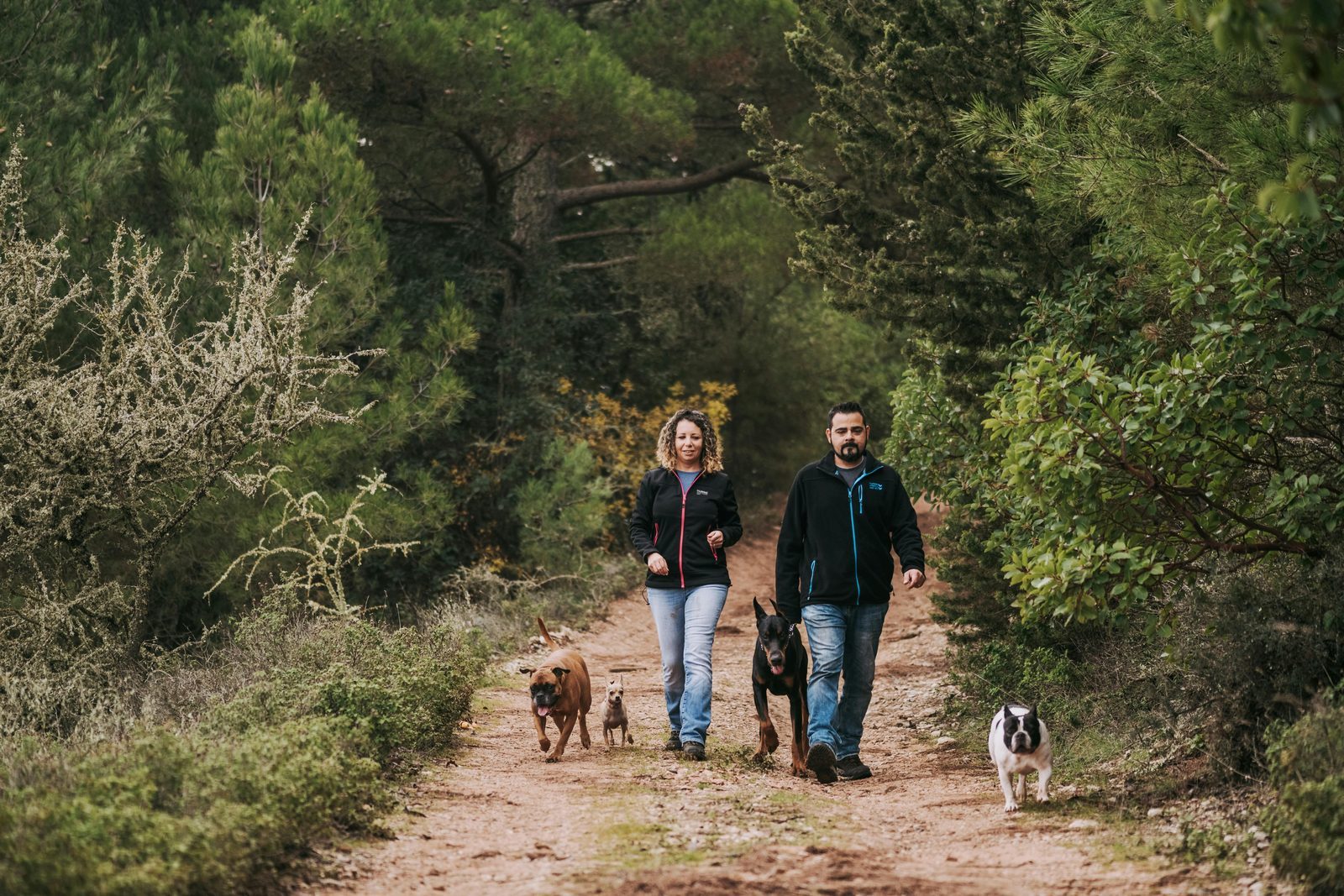 Vakantiepark met hond Drenthe