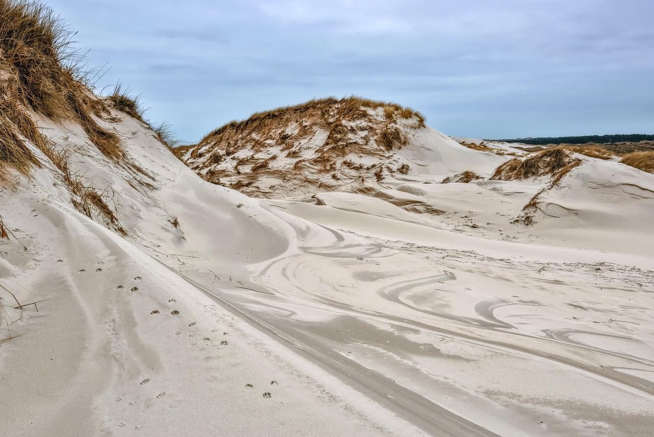 Camping Noordzeekust