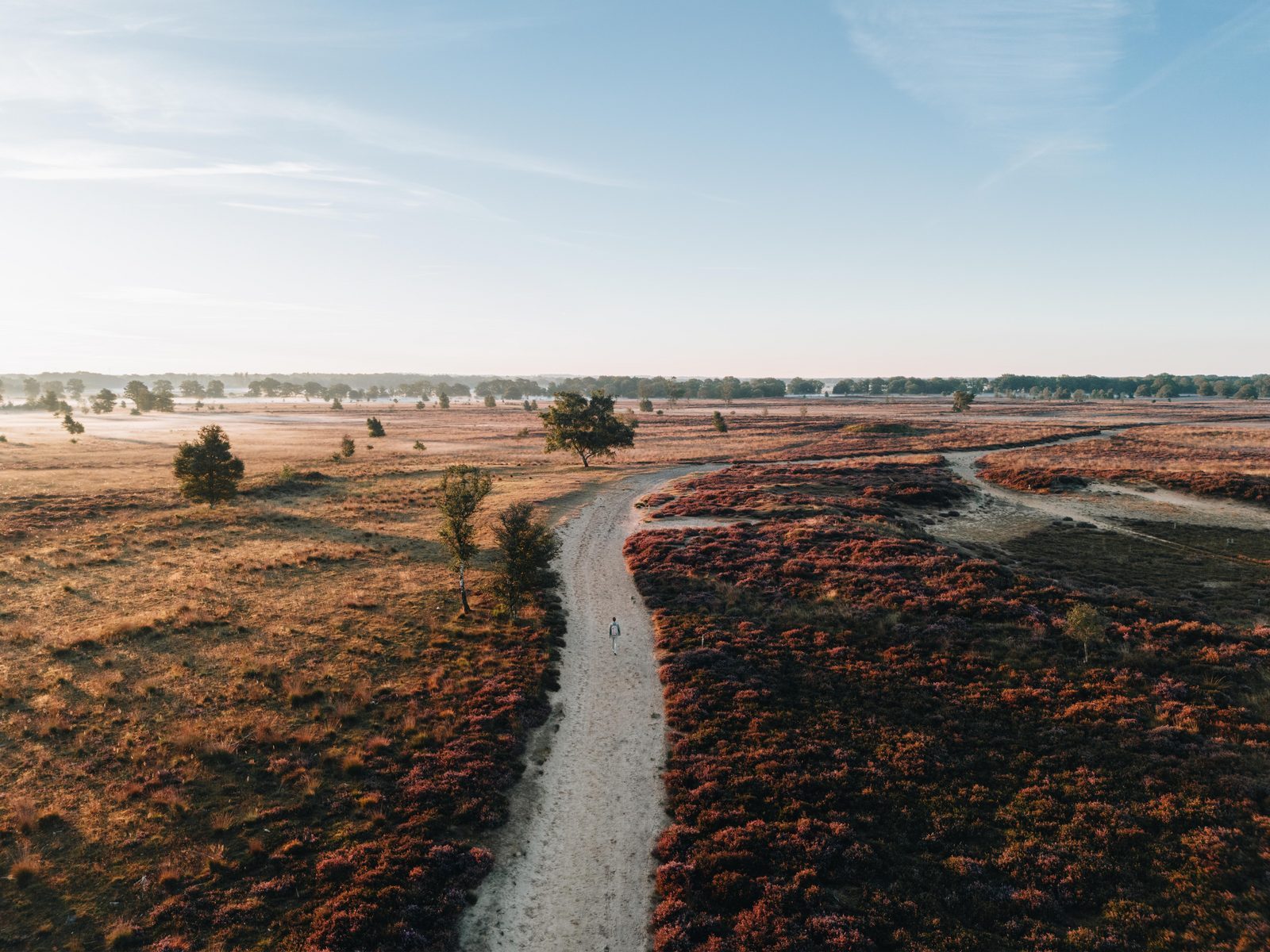 Discover Drenthe