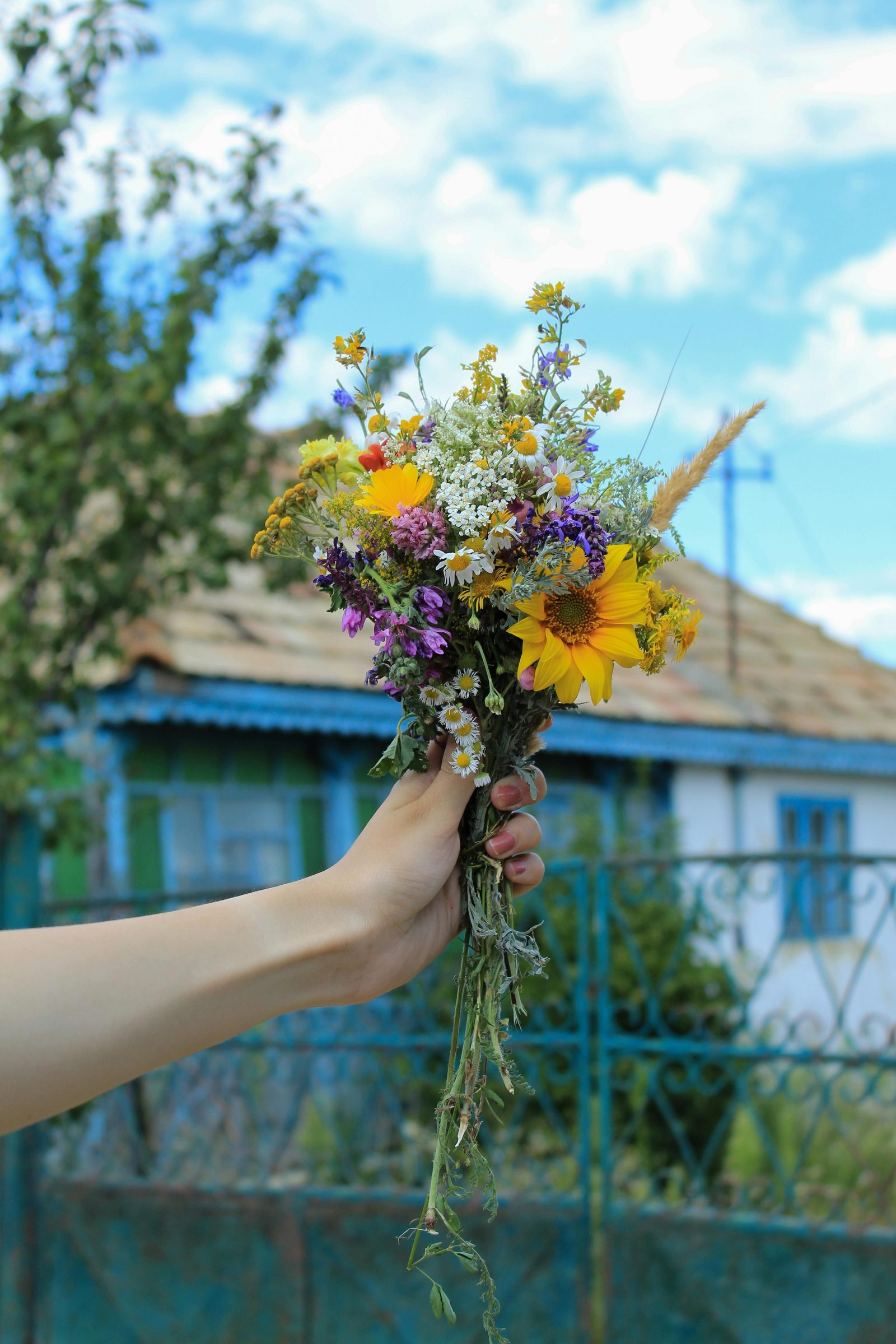 Picking garden la Fleur