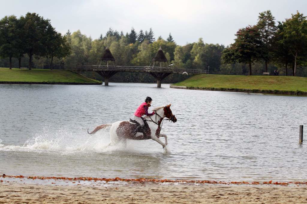 Het Hulsbeek