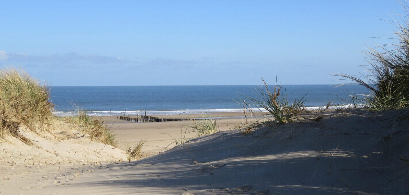 camping den molinshoeve kamperen