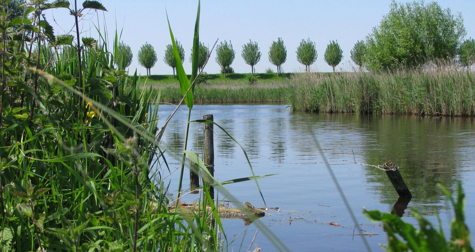 Naturcamping in Holland