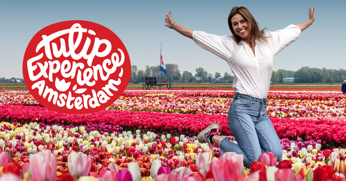 Tulip Experience Amsterdam