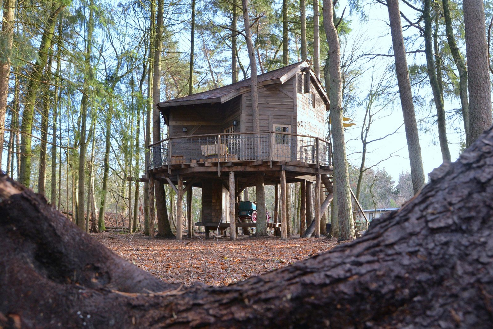 Baumhaus