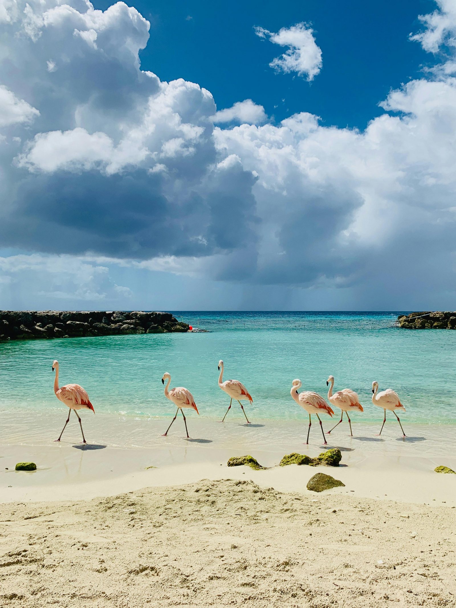 Discover the best activities on Bonaire