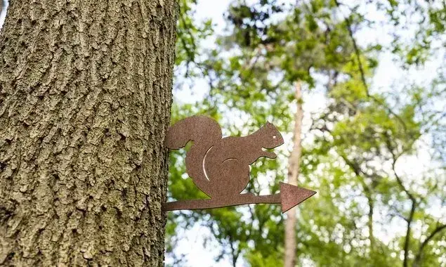 Play Forest