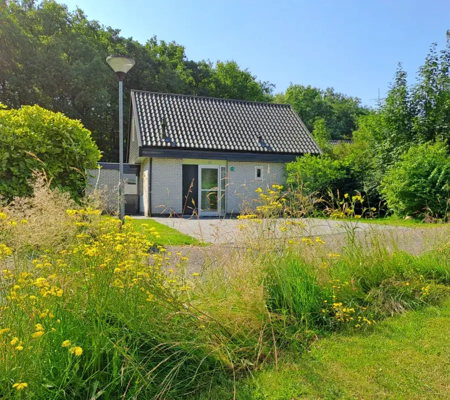 Vakantiehuis Drents-Friese Wold