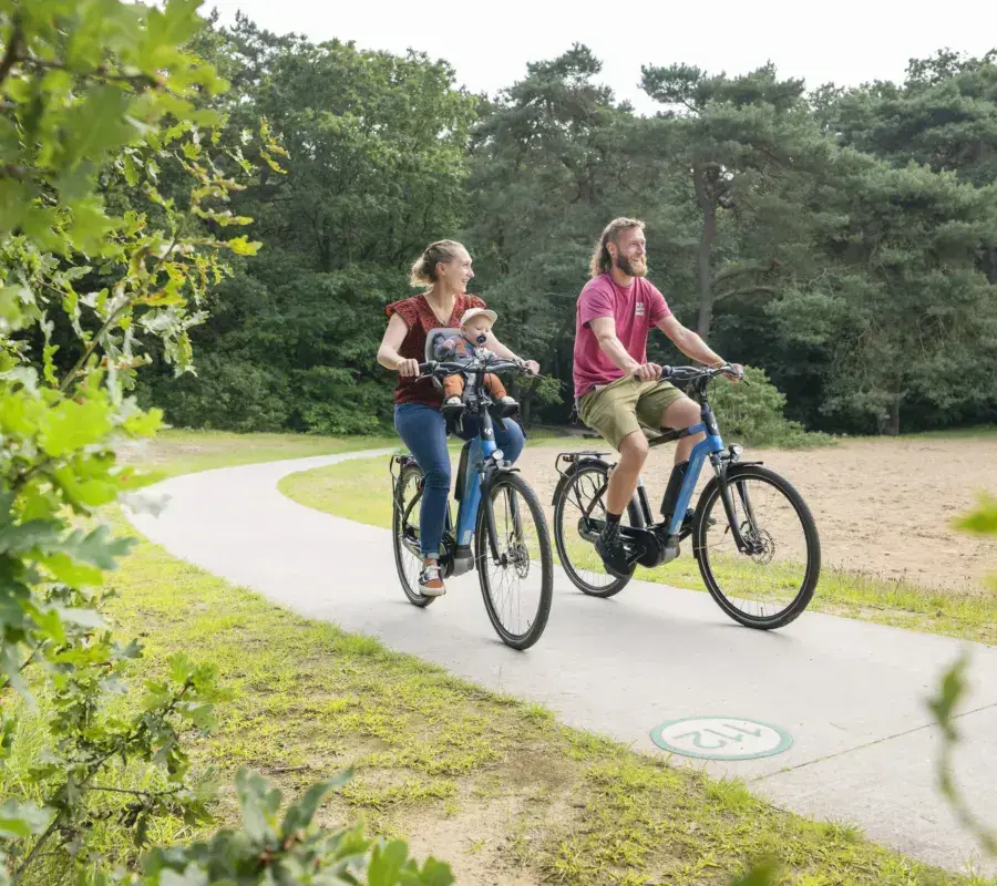 Vakantiehuis Drents-Friese Wold