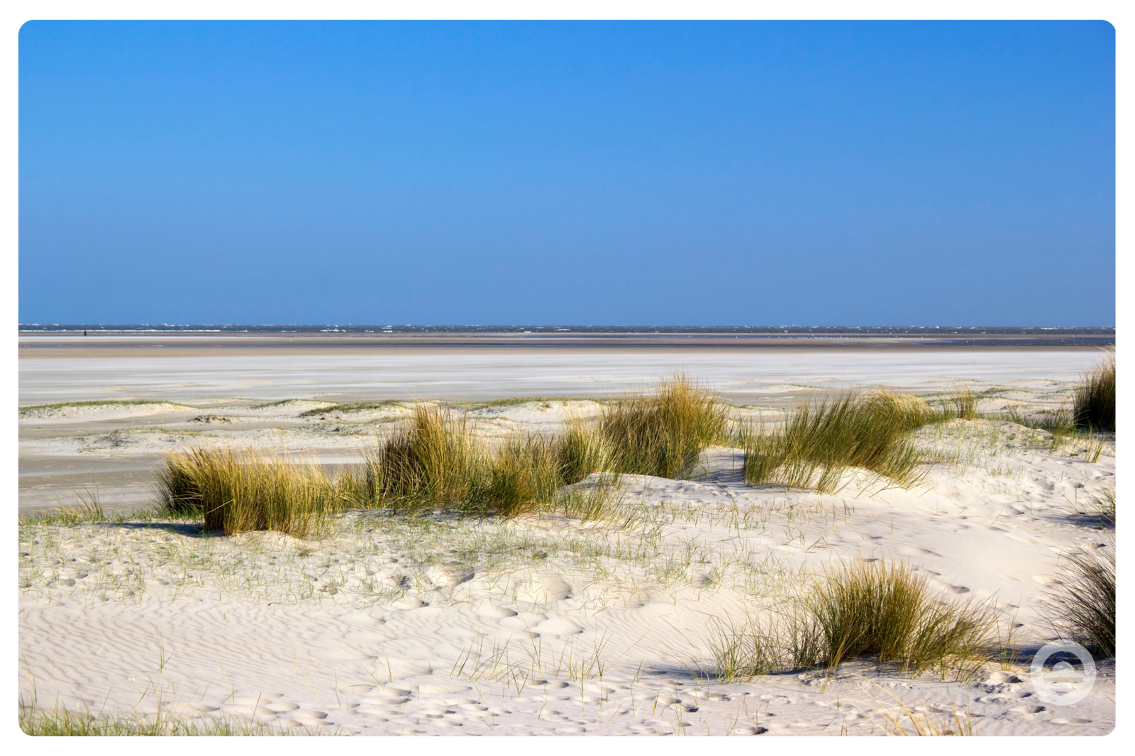 Strand in Renesse