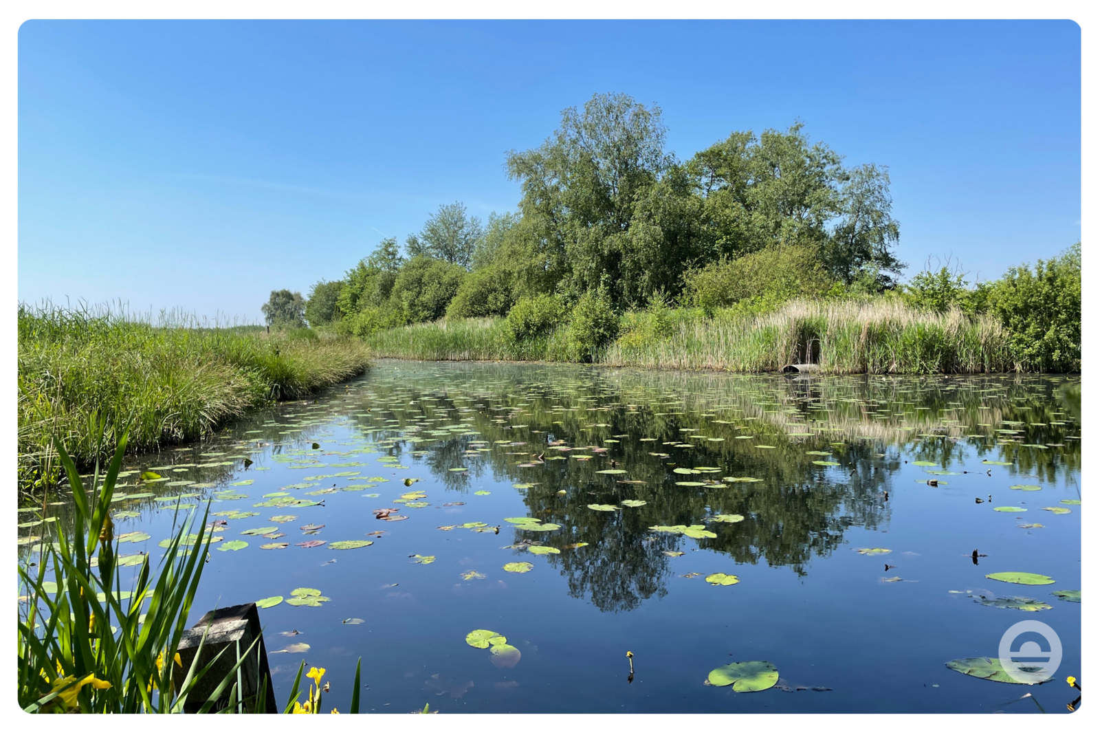 De Alde Feanen